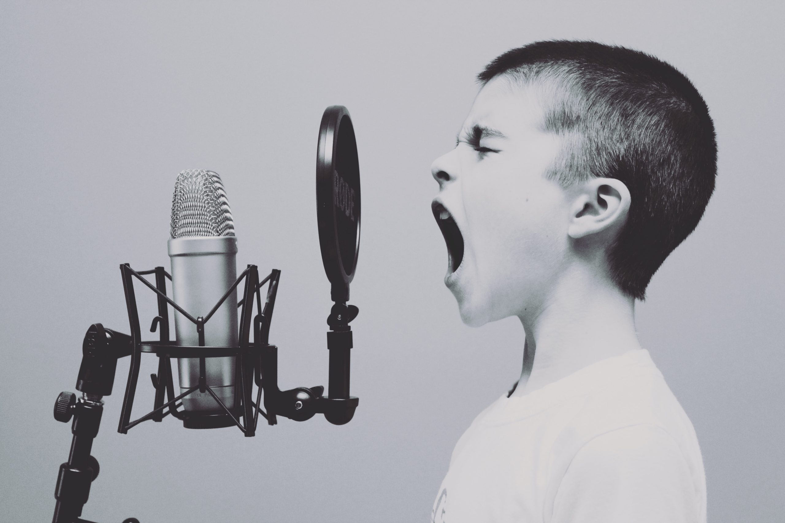 How Brands Are Succeeding with Voice Technology in 2020